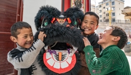 Xizang's traditional culture effectively inherited and protected: expert