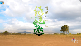 绿染中国|荒漠中生出绿色奇迹