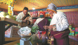 Project helps bring produce to rural area in Xizang