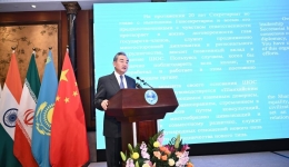Chinese FM calls for SCO's role as 