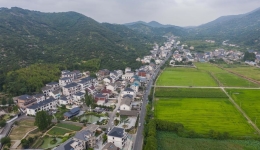 China's rural policy bank to increase financial support for rural revitalization