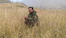 两会声音|全国人大代表董全民：奋战在青藏高原的草地科研一线 以科研精神履职