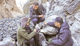 守护雪豹，共建人与自然和谐共生美丽家园