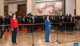 NPC deputies interviewed before 2nd plenary meeting of 2nd session of 14th NPC