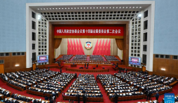 China's top political advisory body holds 2nd plenary meeting of annual session