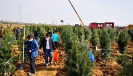 2023年我国完成造林5997万亩