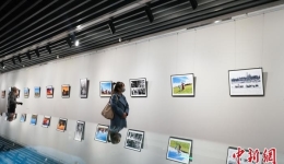 青海湖生态摄影展：展现人与自然和谐共生之美