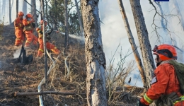 四川雅江森林火灾1号火场明火被扑灭