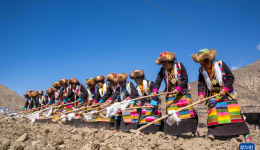 新华全媒+丨开耕，在希望的田野上——西藏农区开耕仪式见闻