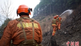 四川雅江森林火灾：1号火场明火已扑灭 2号3号火场有断续火线
