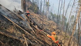 雅江县森林火灾：“山火阻击战”还在进行中
