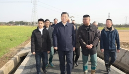 Xi inspects spring farming work