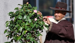 From a life of toil to a taste of happiness