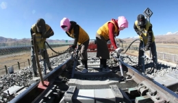 青春相框 | 守护天路的“格桑花”