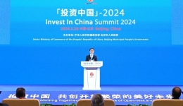 China to keep sharing development fruits with global businesses: vice president