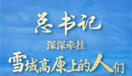 创意长图丨总书记深深牵挂雪域高原上的人们