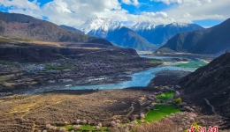 西藏林芝：南迦巴瓦脚下桃花盛开