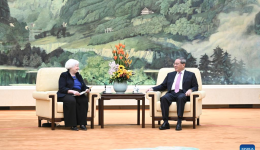 Chinese premier meets U.S. treasury secretary