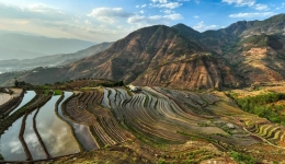 Study reveals giant store of global soil carbon