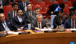 Chinese envoy urges supporting Palestinians' aspirations for statehood, independence