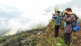 Land of lush landscapes a paradise for nature lovers