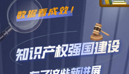 数据看成效！知识产权强国建设有了这些新进展