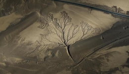 组图丨靓丽美景 尽显西藏生态底色