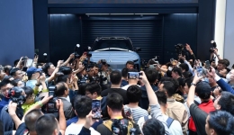 Decoding secrets behind the rise of China's NEVs