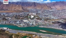 西藏建成首个藏医药产业专利数据库