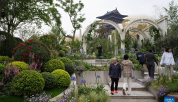 Tourists across China visit Int'l Horticultural Exhibition 2024 Chengdu during May Day holiday