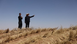 习近平总书记关切事｜逐梦新征程 青春更精彩