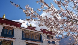 Motorcyclists witness Xizang's development during travel