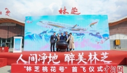 西藏航空“林芝桃花号”冠名飞机正式首飞
