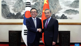 Chinese foreign minister holds talks with ROK counterpart