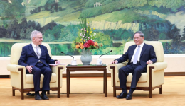 Chinese premier meets delegation from UK