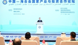 Chinese vice premier urges enhanced industrial, investment cooperation with GCC countries