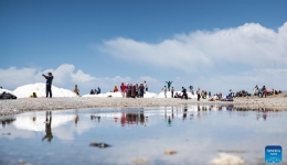 Xizang reaches trade milestone, showcasing progress in high-level opening up