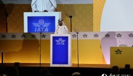 2024年全球航空旅客运输量有望近50亿人次