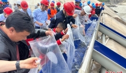 西藏芒康:增殖放流 23万尾鱼苗投放金沙江