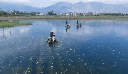 China's ecological environment improves in 2023 with progress on air, water quality