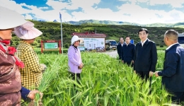 Top political advisor highlights religious, ethnic harmony