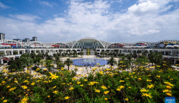 Economic Watch: China-South Asia Expo boosts regional cooperation