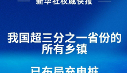 新华社权威快报｜我国超三分之一省份的所有乡镇已布局充电桩