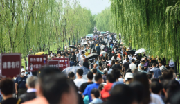 40元4天3晚游桂林？揭秘“低价游”背后灰色产业链→