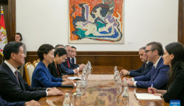 Serbian president meets Chinese state councilor