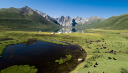 Expedition shows Xizang's improving biodiversity