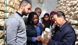 How Chinese hybrid grass technology is changing the world for the better