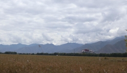 Lhalu Wetland sees major ecological improvements