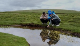 One year on, law on Qinghai-Xizang Plateau ecosystem protection bears fruit