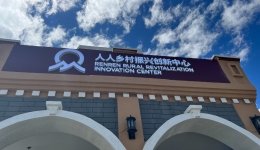 铸牢共同体 中华一家亲丨上海援藏干部帮这个村海拔降低900米